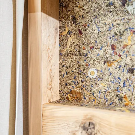 24 By Bruecke * مايرهوفن